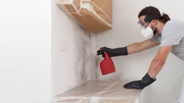 Professional Black Mold Remediation technician working in Moon, VA