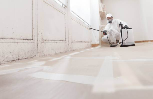24/7 Emergency Black Mold Remediation experts in Moon, VA