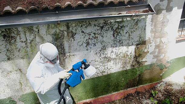 Top rated local Black Mold Remediation specialists in Moon, VA